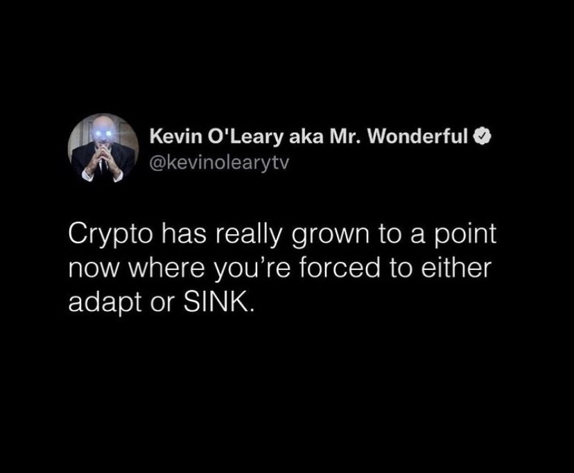 Crypto Woke tweet media