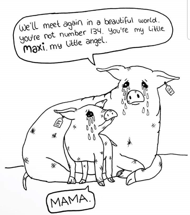 angie_karan's tweet image. A picture 
        that speaks 
              a thousand words  
                        and more🐾🐽