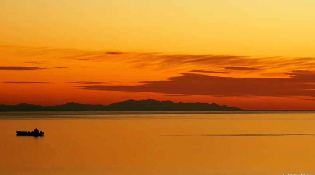 Alberto63Al's tweet photo. Ognuno sta solo sul cuor della terra 
trafitto da un raggio di sole 
ed è subito sera.

Quasimodo 

Buonanotte 

#poesieperme #musicaio #storiemiti https://t.co/KodTi3vG84