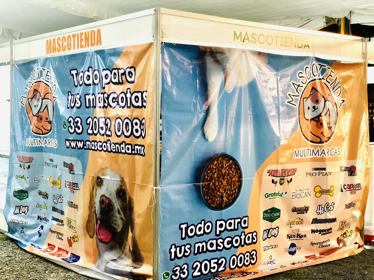 reyroga21's tweet photo. Los esperamos ✅♻️✳️🌿🌱
Primera Expo CBD en jalisco. https://t.co/bWnMntH950