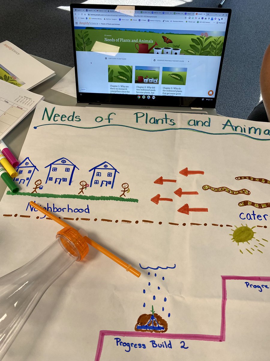 Noof Watson M.Ed tweet media