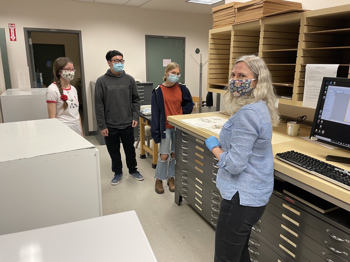 pterido_TCN's tweet photo. Happy #FossilFriday #FernFriday! Thanks to Amy K. at UC Jepson and University Herbaria for hosting UCMP Team Fern’s herbarium excursion to see the #digitization of “recently dead” #ferns. @AskACABotanist @ucmpberkeley https://t.co/rlXD0lv1dc