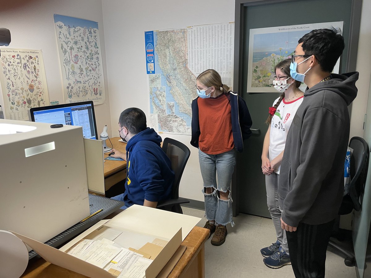 pterido_TCN's tweet photo. Happy #FossilFriday #FernFriday! Thanks to Amy K. at UC Jepson and University Herbaria for hosting UCMP Team Fern’s herbarium excursion to see the #digitization of “recently dead” #ferns. @AskACABotanist @ucmpberkeley https://t.co/rlXD0lv1dc