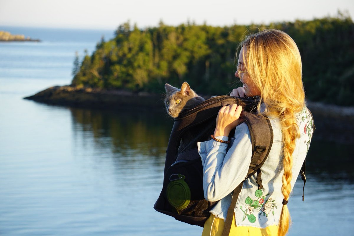 FluffyKittyYoda's tweet photo. Reminiscing about our backpack adventures in Canada! #CatsOfTwitter https://t.co/MK33kf46iE