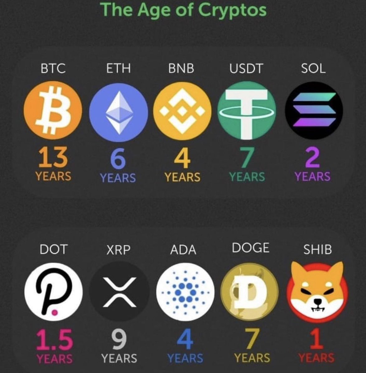 ShibaHsu's tweet photo. #Shib only 1 years young. This doggo is bound to jump off its leash and moon. 🙌🏼 #HODL 
#SHIBARMY #SHIB #Crypto #BTC #ETH #SOL #USDT #doge #XRP #ADA https://t.co/VmcdzqZRjf