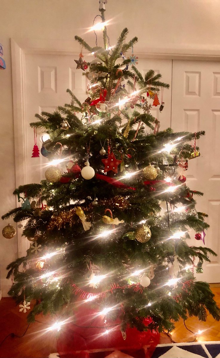 woodcoteptfa's tweet photo. Thank you to the wonderful local business The Aycorn Shoppe  https://t.co/KQtuIBXo1H for supporting our school this year, for every tree that was purchased through us, the ptfa received 15%. And what beautiful trees they are……🌲🌲🌲🌲🌲🌲🌲 https://t.co/o5XeWJV5ch