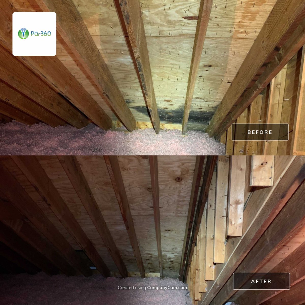 Pur360's tweet photo. Have you recently had your attic checked for mold? Be sure to give us a call for a free inspection at 888-478-7360. Check out the below before and after of our attic mold service that was performed.  #Chicago #Dallas #Houston #Madison #Milwaukee #Orlando #Tampa #FreeInspection https://t.co/CmndIgHpJ2