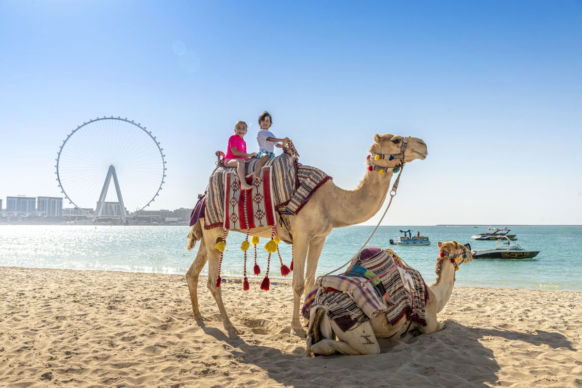 RitzCarlton's tweet photo. The innovative #RitzKids program takes younger guests on a journey filled with incredible adventures, unexpected and exciting discoveries, and fun-packed experiences that instills in them both fond memories and life-long knowledge. https://t.co/26kDINn4V7
