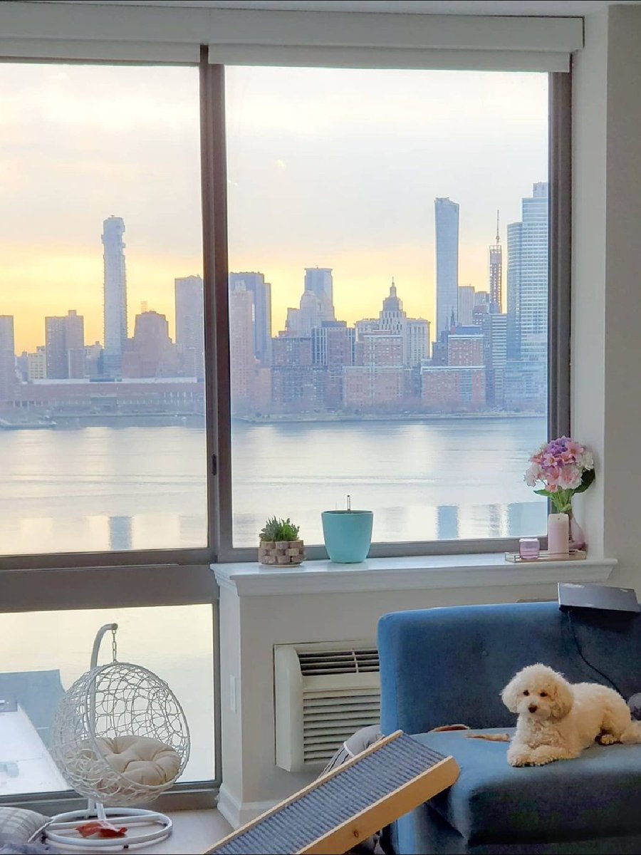 At #HarborsideJC, sunset views aren’t just for humans. Explore living at Harborside: harborsidejc.com/residential/
📸: kimchiandsoju