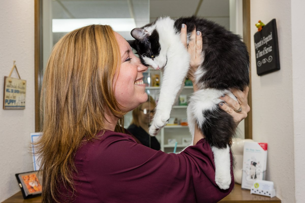 for_veterinary's tweet photo. People trust us, but pets love us. #WeLoveOurPatients❤️#4TheAnimalsVetClinic https://t.co/7FNpmBvrMD