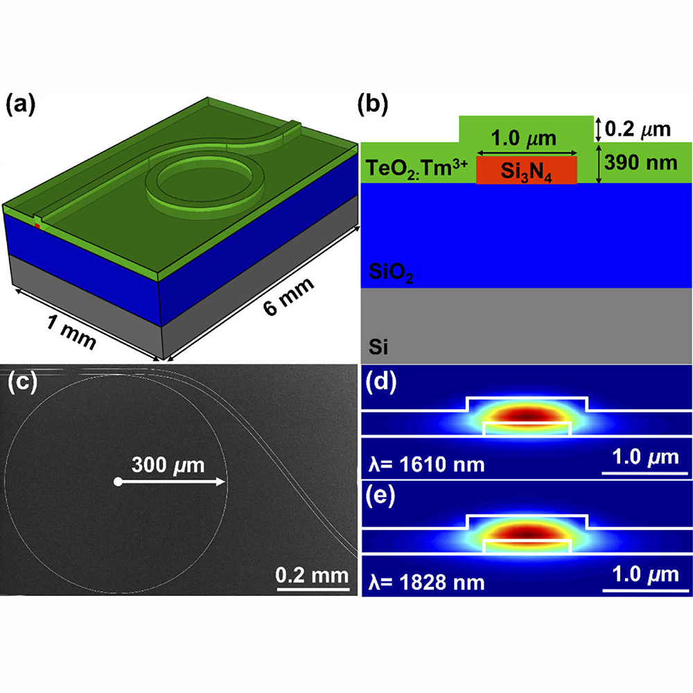 OpticaPubsGroup's tweet photo. View Spotlight Analysis of the #OPG_OMEx paper Thulium-doped tellurium oxide microring lasers integrated on a low-loss silicon nitride platform https://t.co/uACM6QtjUk Spotlight Summary by Francesco Morichetti #TelluriteGlass #Microlasers https://t.co/69uM9cuiuO