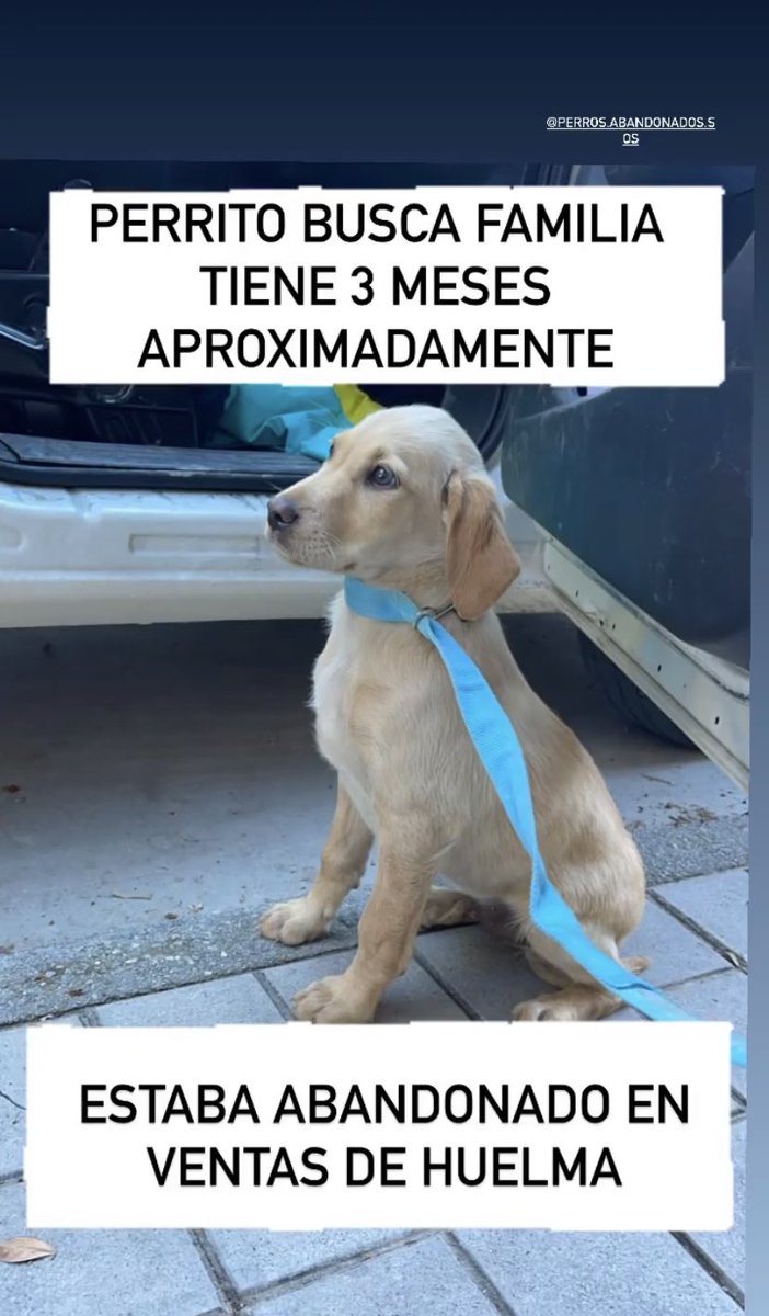 andreaversace_'s tweet photo. Difundid porfi 💘 https://t.co/g4FgTPlZ6F