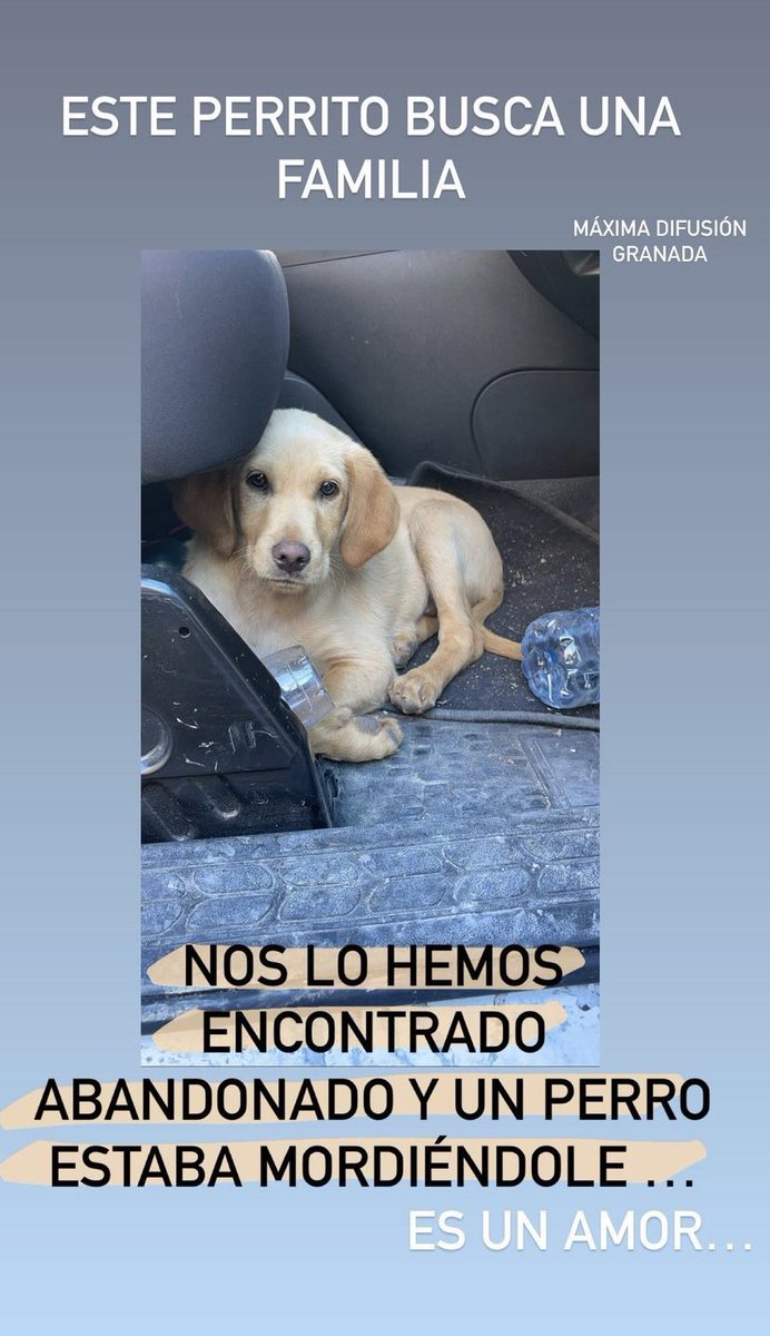 andreaversace_'s tweet photo. Difundid porfi 💘 https://t.co/g4FgTPlZ6F