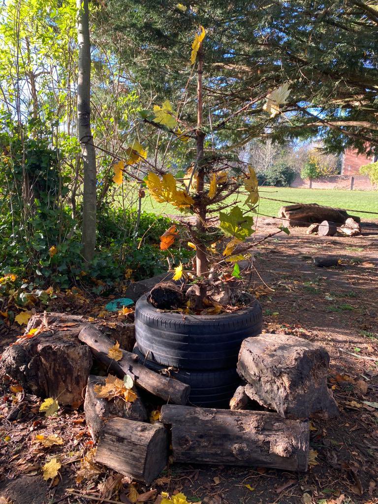 primary_avenue's tweet photo. We love our Woodland Learning lessons. So many skills learnt in the great outdoors. πͺ΅πΏπππ
From mud faces to up-cycling a Christmas tree from two years ago and decorating it to itβs full beauty!
Well done everyone! π€ #woodlandlearning #forestschool #outdoored https://t.co/VBDIHsTnVa
