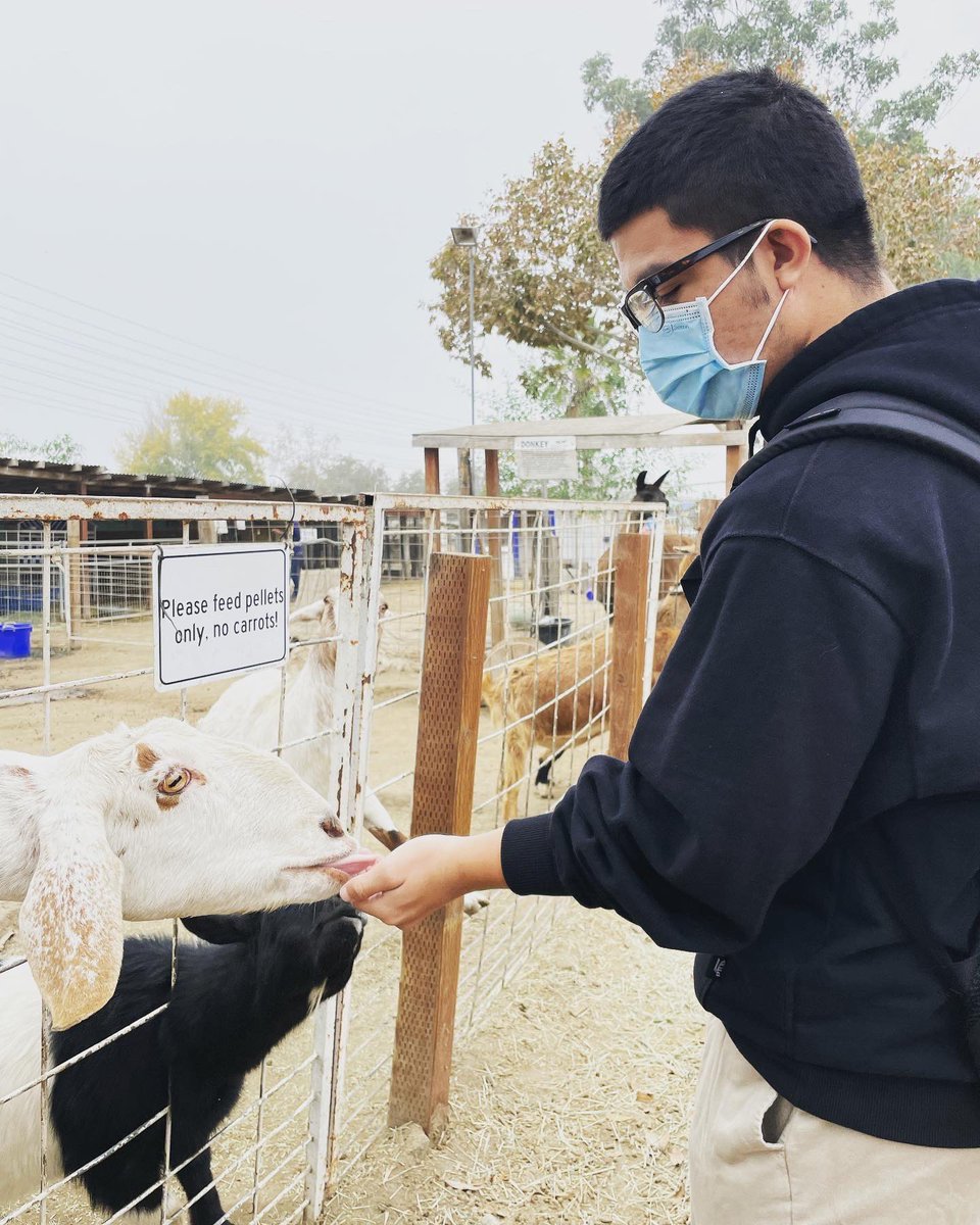 ACT-LBUSD tweet media