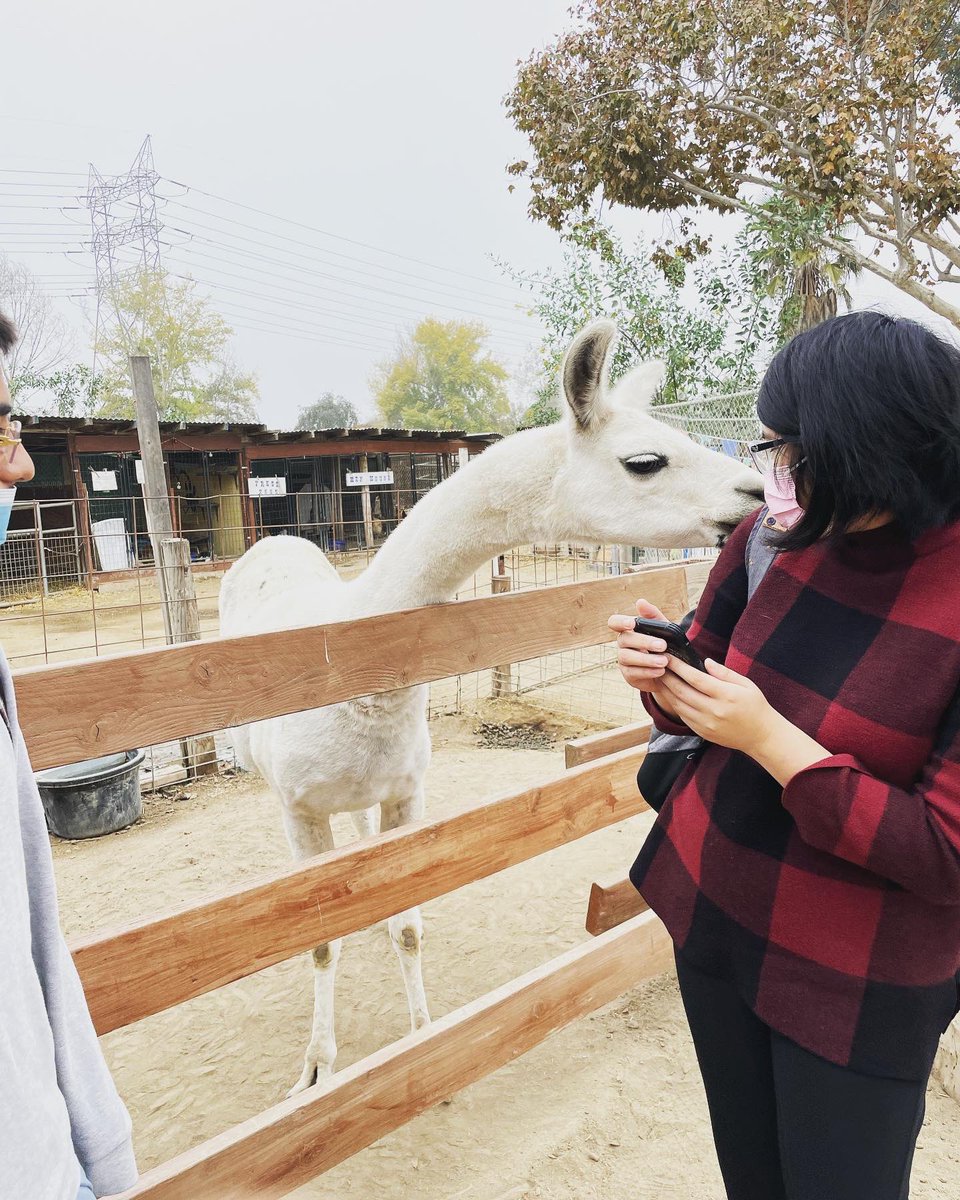 ACT-LBUSD tweet media