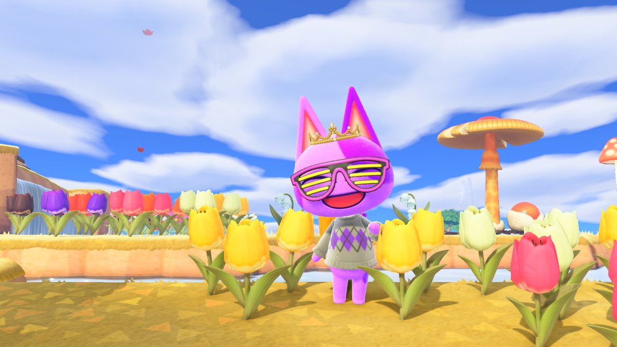 AmandaRuthAC's tweet photo. Bob... a true fashion icon.

#acnhbob #AnimalCrossing #ACNH #NintendoSwitch https://t.co/WI26RZrlgR