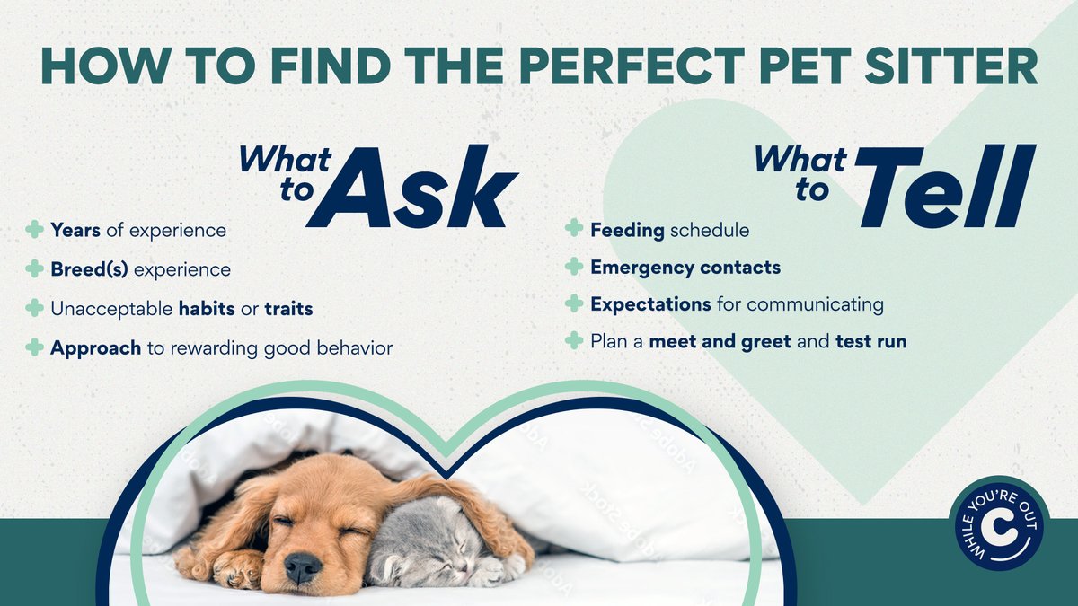 Chewy's tweet photo. Looking for a pet sitter this Holiday season? Know what to ask and look for, so you can feel at ease #WhileYoureOut. Share with a fellow pet parent. https://t.co/SgDd0AFwPp
