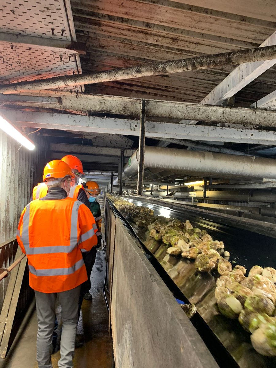 <a href="/NFUSugar/">NFU Sugar</a> visit to the <a href="/BritishSugar/">British Sugar</a> Cantley factory. Thanks to the factory team for showing us around. 

<a href="/sjsmithfarms/">Simon Smith</a> <a href="/mhssly/">Michael Sly</a> <a href="/jamesnorthen20/">James Northen</a>