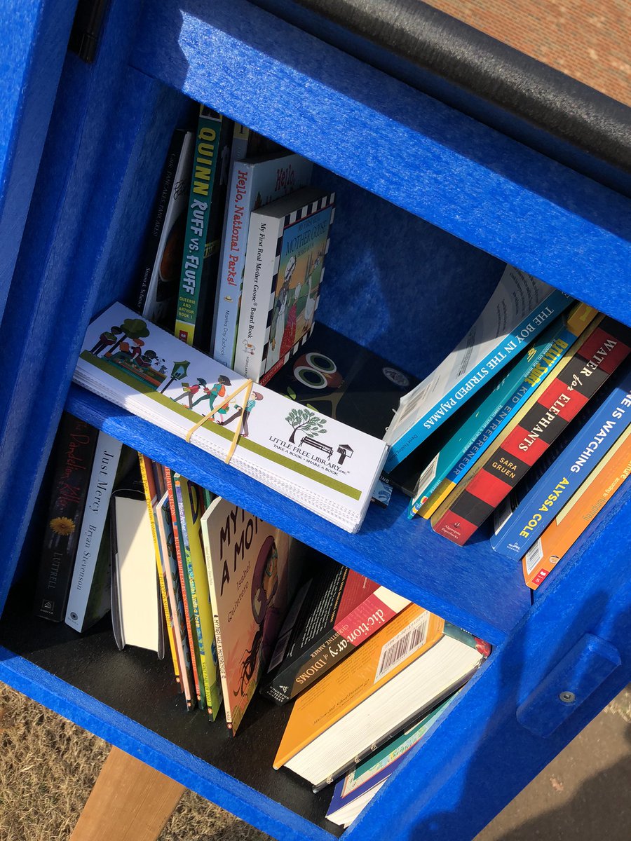 Excited to have our @littlefreelibrary up and full of books! Come get you a book! #techpride #readysetforwardmcss