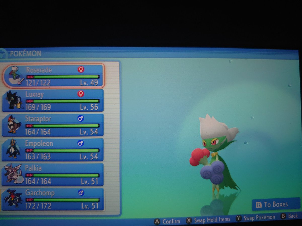 GamingRocks94's tweet photo. After Sunyshore Gym Battle #ShiningPearl #PokemonBDSP https://t.co/4Jf7p88CJo