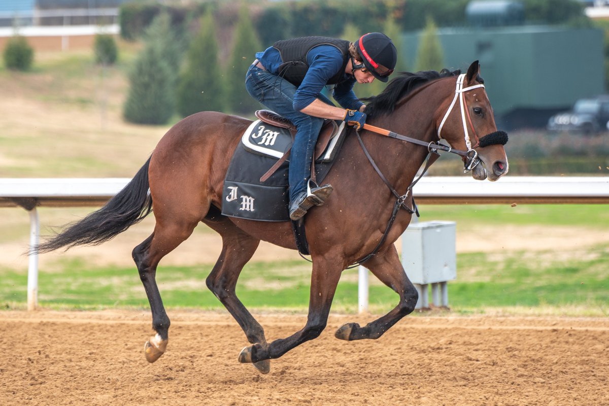 RobertYates1982's tweet photo. Blame George, an unstarted 3 y/o Blame colt, galloping near the end of training hours Friday morning @OaklawnRacing for @JeffMetzRacing. https://t.co/iv5eSrYS3o