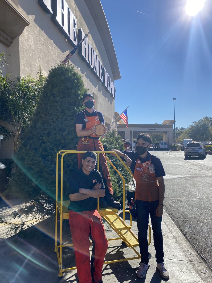 RumerVillalvazo's tweet photo. Look 👀 at these guys! They are doing BIG things in this tree 🌲 lot! Loving this 12ft tree! #Christmas2021 #livetrees @KevinBr75977227 @YareliLemus3 @BethAdk07354611 @CXM3315 @MarkSaltarelli https://t.co/y83ODTRDIl