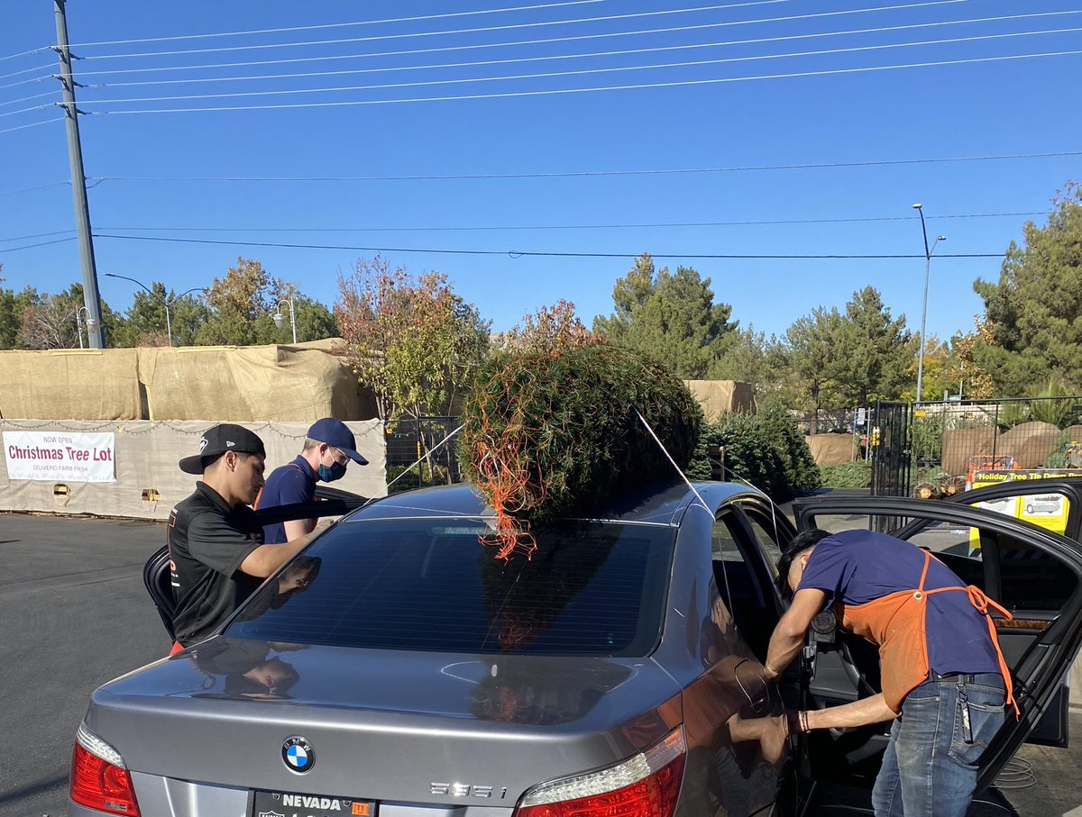 RumerVillalvazo's tweet photo. Look 👀 at these guys! They are doing BIG things in this tree 🌲 lot! Loving this 12ft tree! #Christmas2021 #livetrees @KevinBr75977227 @YareliLemus3 @BethAdk07354611 @CXM3315 @MarkSaltarelli https://t.co/y83ODTRDIl