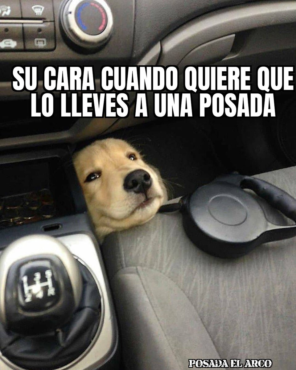 ArcoPosada's tweet photo. https://t.co/jfN3vtgbdL