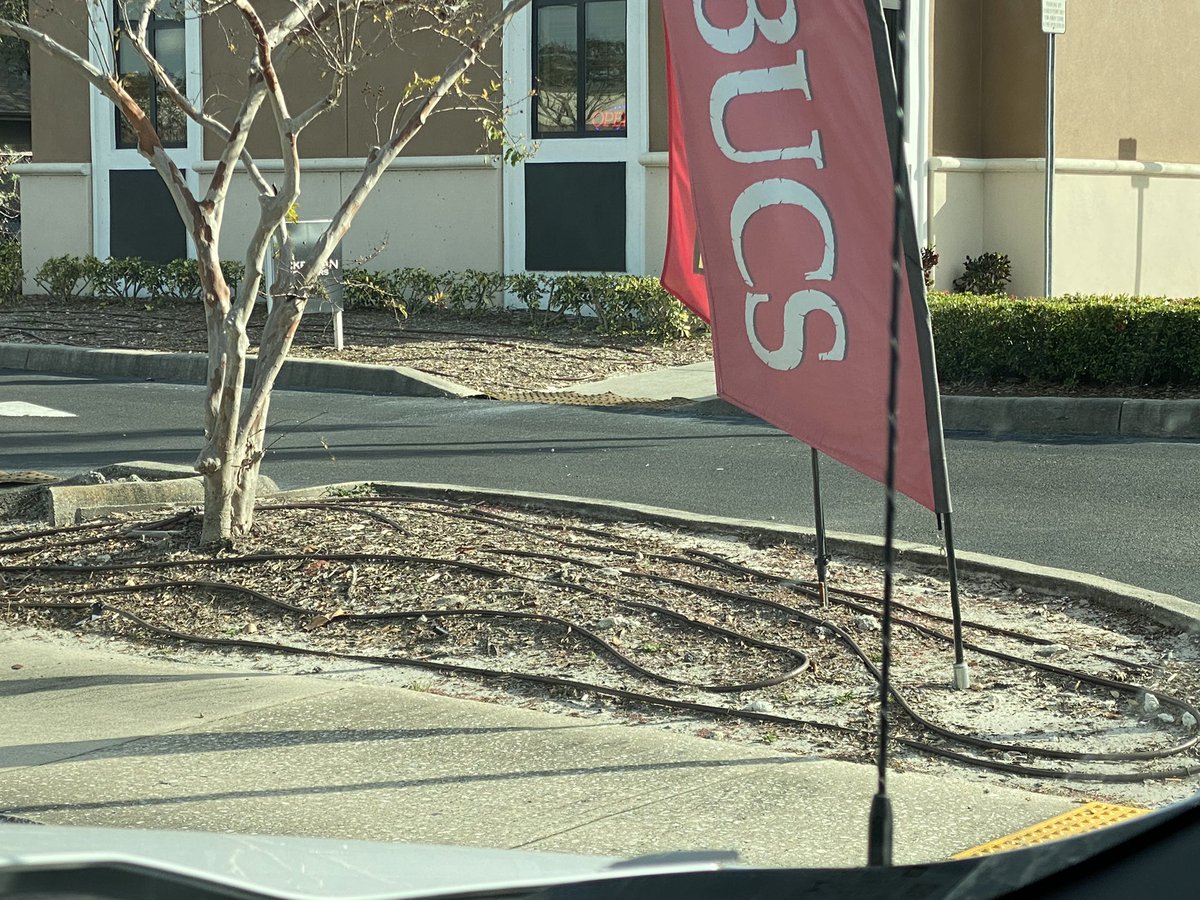 MDSavesWater's tweet photo. What are you watering!? Check out @JainsUSA for tips on how to water accurately and effectively. #LooksCount #PointSourceEmitters #UpsellRetrofits https://t.co/EsoTdsEFPo
