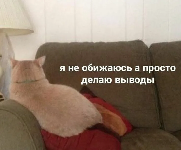 я не обижаюсь. я просто обижена. я просто обижена. я просто обижена. я обиделся рыжий котик.