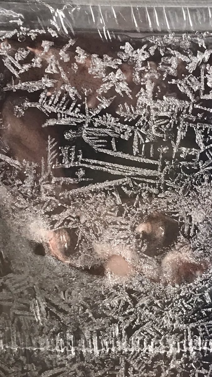 Crystals are everywhere. We even can find them in the package of squid 🦑 🦑🦑). 

Today, when I was queuing for my lunch in the Asia market, I found them in the fridge. Beauty always comes to you of a sudden. ✨