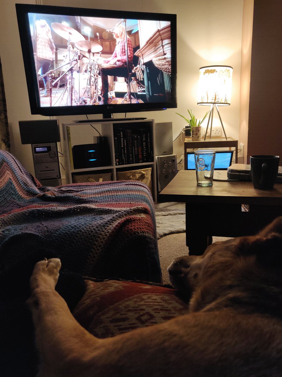 Macey has peaked too soon, she's fallen asleep watching her human Shane play drums. She only had 3 pints... Lightweight... #SinnersLive