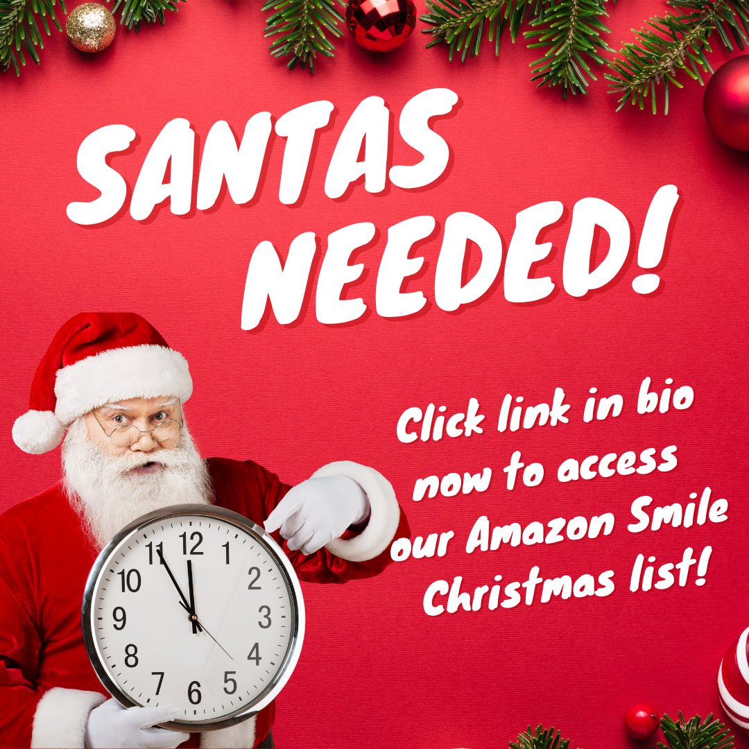 You can make Christmas morning special for our residents by shopping our Amazon Smile Christmas List (link in the Linktree in our bio) so that every resident will have an identical gift bag to open. Reach out to Sheila Ledbetter (SLedbetter@HopeHavenInc.org) with any questions.