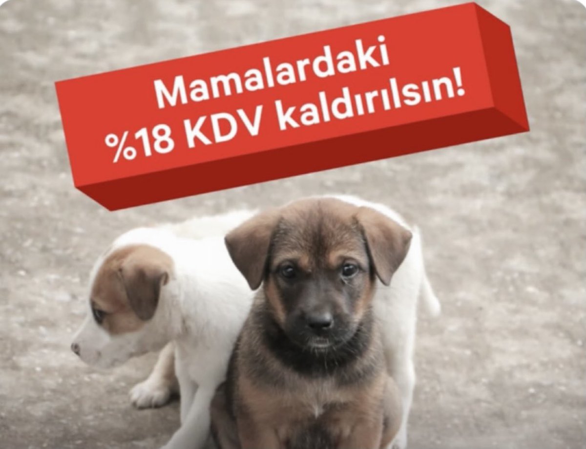 Mama fiyatları son 1 yılda yaklaşık olarak %200 civarında arttı Buda özellikle sokaktaki canları çok zor durumda bırakıyor bu fahiş artışa dur diyelim ayrıca %18 ilk KDV %1 olsun #chance.org #haytap #sokakhayvanları #haykon