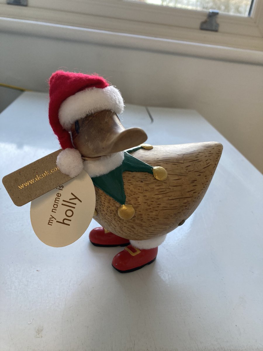 janeb33's tweet photo. Welcome to my kitchen #hollyduck @duckcompanyuk https://t.co/1Xrkrvhdqn