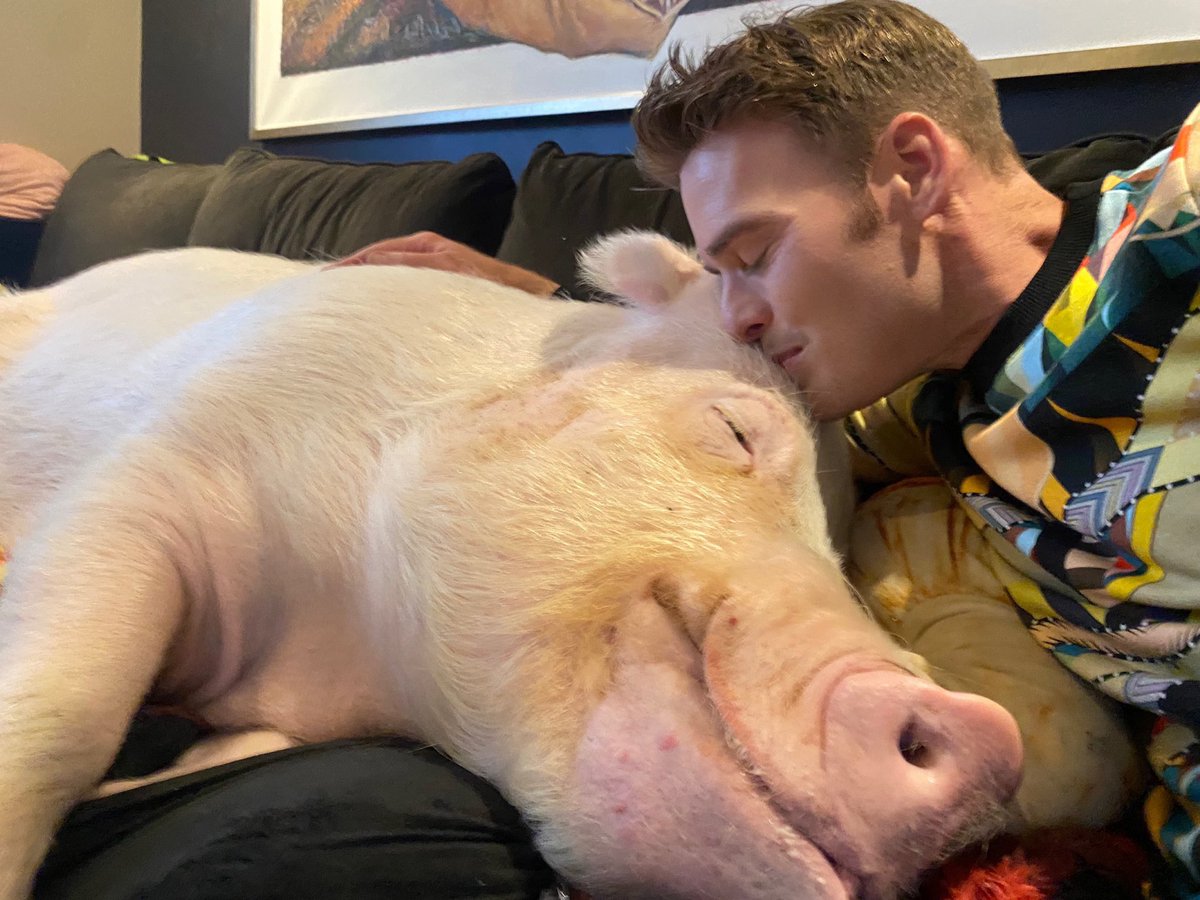 Steve Jenkins tweet media