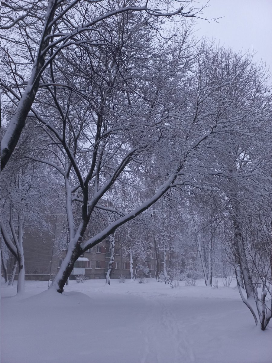 vikija_i's tweet photo. Man patīk tāda liela ziema, tikai ne Rīgā, kad ir kaut kur jābrauc.. 
Katrā gadījumā - jaudīgs ziemas pieteikums ❄☃️
#winter https://t.co/mm4DYfz0Ot