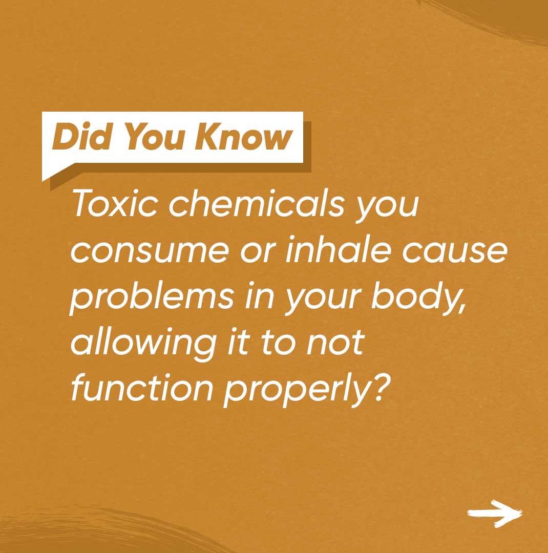 Max_Living's tweet photo. ✨  ‘Tis the season to remove interference!

⚠️  Don’t let toxins take control of your body! Read more about the impact of toxins on your body here:  https://t.co/RVGb0vSPA6 https://t.co/AJtiq8bVkG