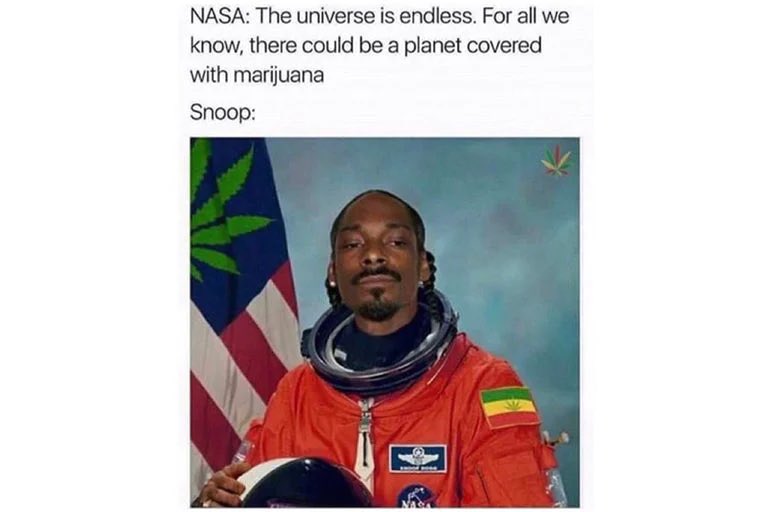 CannaverseClub's tweet photo. Ummm we would like to go along for the ride 😌🧐 #NFTCommunity #CannabisCommunity #cannabisculture https://t.co/lQdgFVoZeq