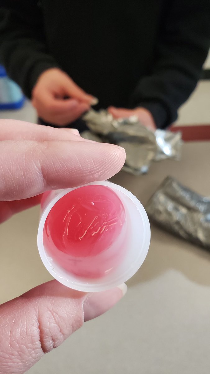 The verdict is in! Some of the grade 7 "mice" survived, some didn't. Unfortunately for a little mouse, even a few ice crystals would be fatal. #becurious #WeAreRundle <a href="/RundleJrHigh/">Rundle College Jr. High</a>