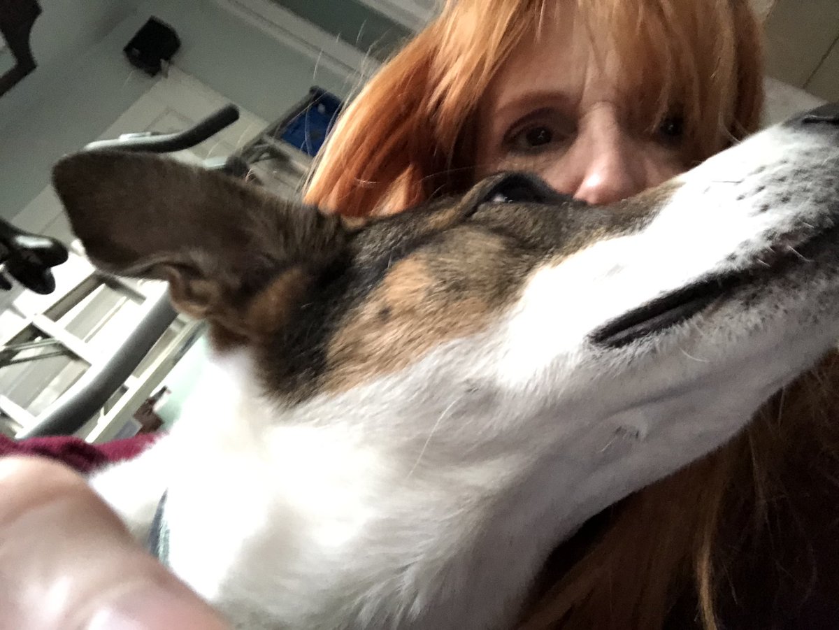 Dog people of the twitterverse, you are amazing! 💗 Your outpouring of support for Rosie 🐶 has left us humbled &amp; grateful. 🥰🤗 She is on medicines for her heart condition and we are hopeful for a good life  &amp; years of love. ❤️🐾 Hugs!
#dogsoftwitter #ZSHQ