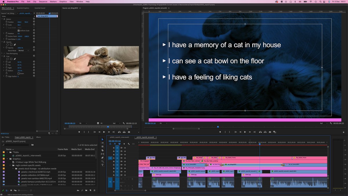 Online Education, University of London tweet media