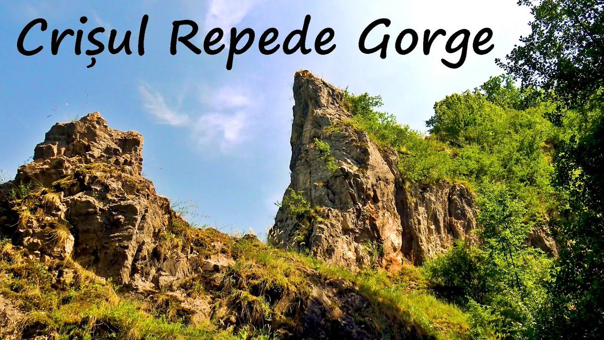 WatchRelax's tweet photo. Video of the Crisul Repede Gorge in the Padurea Craiului Mountains 🙂

🔴https://t.co/k3DaiDwGqz

▶️ #gorge #canyon #rocks #mountains #CrisulRepede #Bihor #JudetulBihor #Suncuius #VaduCrisului #DefileulCrisului #Romania #nature #river #natura #relaxare https://t.co/HLkQPagypa