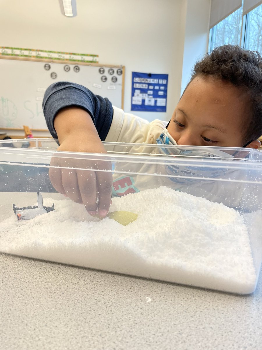 mrswalshsped's tweet photo. There’s ❄️snow❄️ place like room 2106 💕

We loved making our own sensory snow today ☃️ https://t.co/tpdcvxPji6