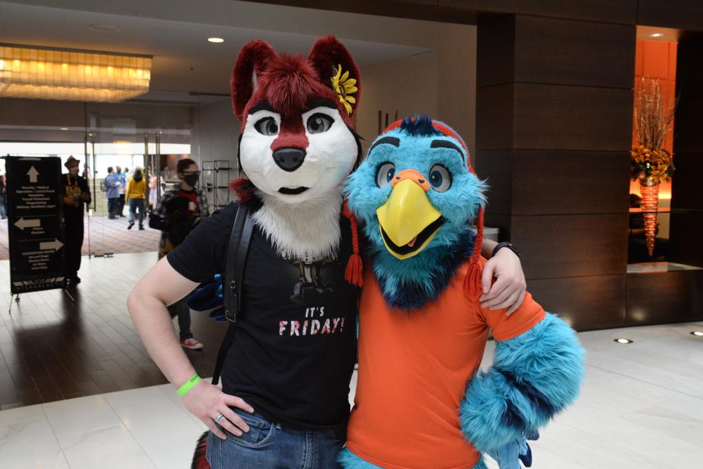 adelair_'s tweet image. Adler @Adler_the_Eagle &amp;amp; Knox @knoxx1616 #mff2020