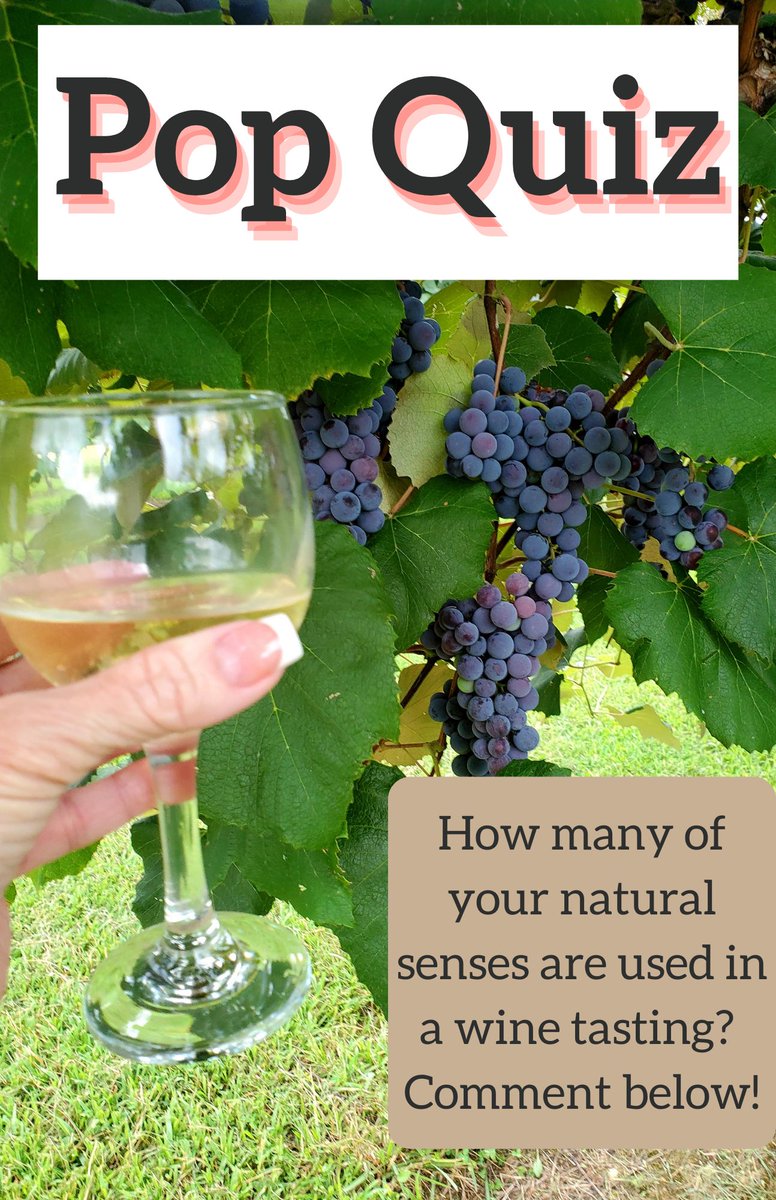 DelMonacoWinery's tweet photo. No cheating! We’ll give out the answer first thing in the morning 😊 
Hint: Remember your last tasting and see if you can remember every sense used 
Pro tip: Come on in for a refresher 😉 

#cheerstotheweekend #winelover #cookevilletn #shoplocal #winedownforwhat  #guessinggames https://t.co/CwWLGhW1Mn