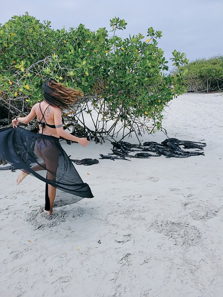 EricaSenaRW's tweet photo. Um paraíso chamado Galápagos ❤ https://t.co/aq0Hcq04GM