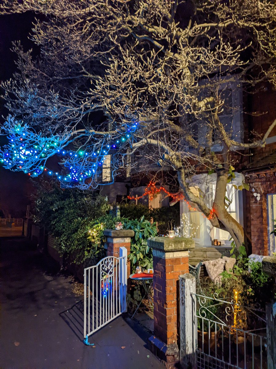 boilerwadding's tweet photo. Completely outclassed by the neighbours as usual though! #WestEndLights2021 #LincolnWestEndLights https://t.co/62R0BaCsVD
