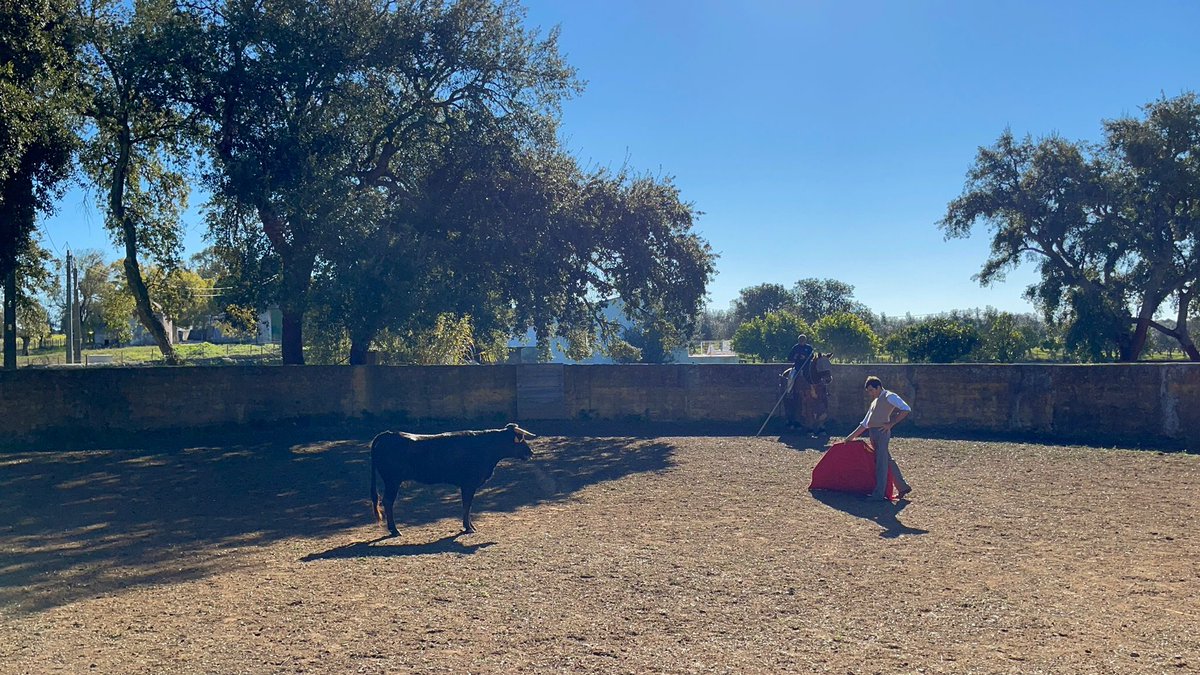 Donde hay la mayor libertad del mundo, en el campo…